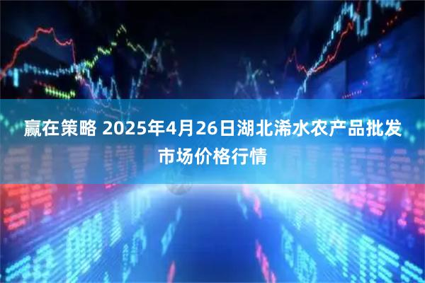 赢在策略 2025年4月26日湖北浠水农产品批发市场价格行情
