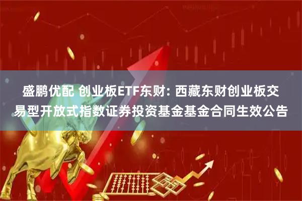 盛鹏优配 创业板ETF东财: 西藏东财创业板交易型开放式指数证券投资基金基金合同生效公告