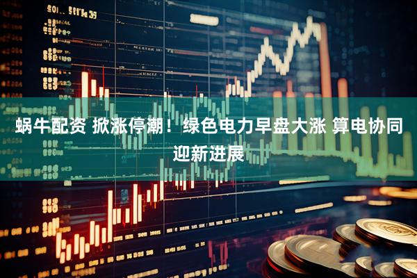 蜗牛配资 掀涨停潮！绿色电力早盘大涨 算电协同迎新进展