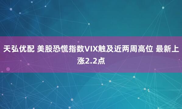 天弘优配 美股恐慌指数VIX触及近两周高位 最新上涨2.2点